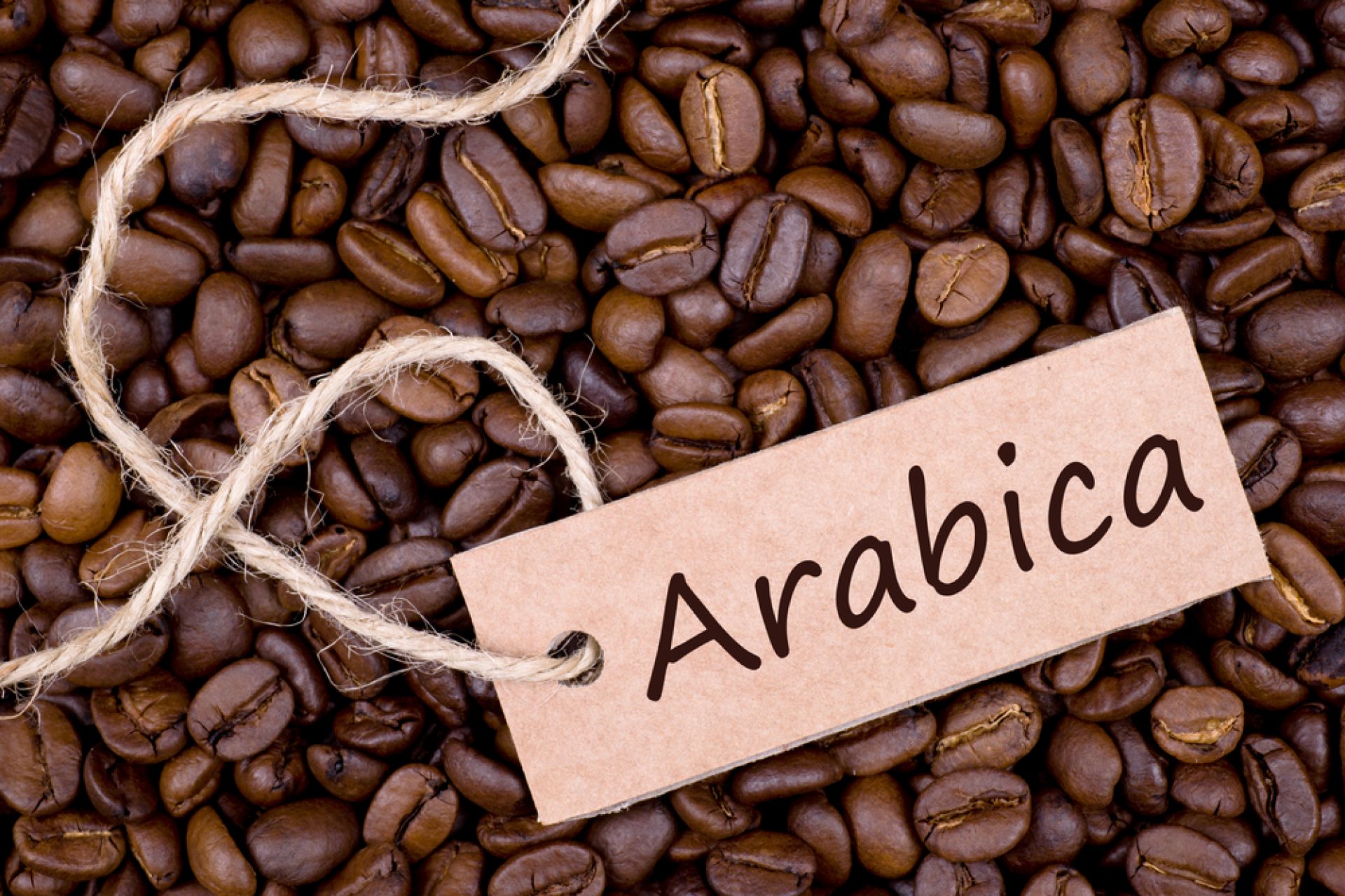 Cà phê arabica